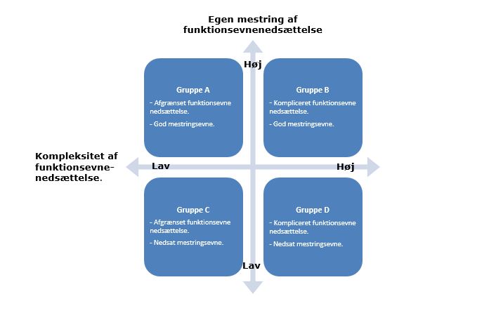 Beskrivelse af kompleksitet / egen mestring af funktionsevne nedsættelse.